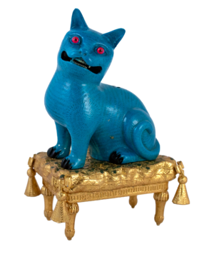 Purrquoise Cat