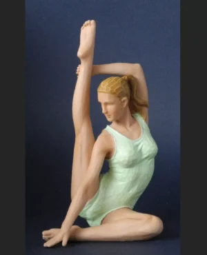 Yoga Compass pose colour