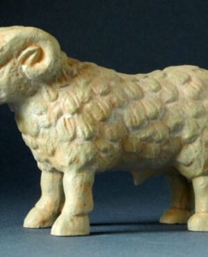 Ram Boeotia