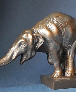 Éléphant d’Asie mendiant