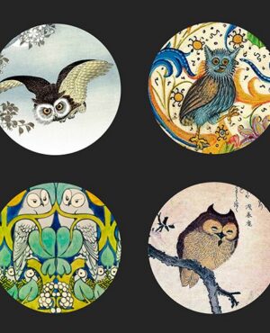 Owls
