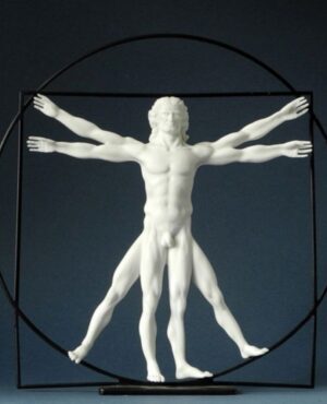 The Vitruvian man