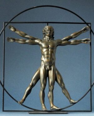 The Vitruvian man