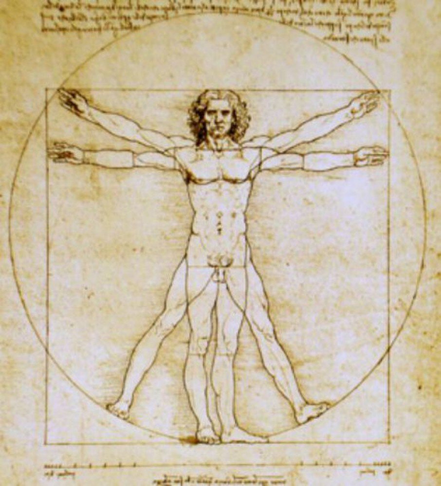 L'homme de Vitruve – Image 2