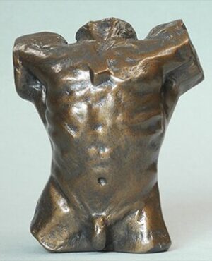 Torse, reproduction