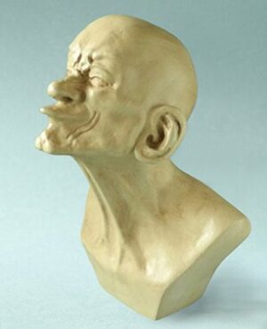 Beaked head