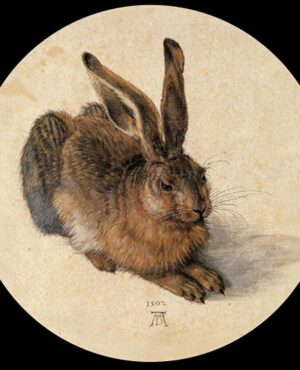 Dürer