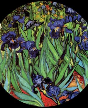 Van Gogh