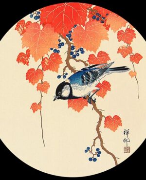 Koson