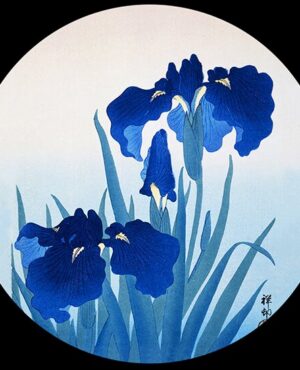 Koson