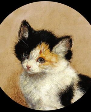 Ronner Knip