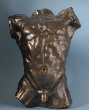 Torso