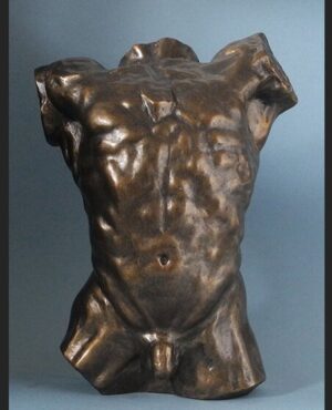Torso
